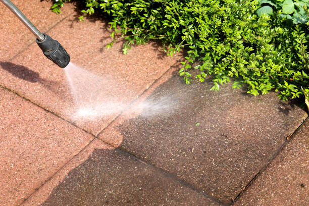 Best Fence Pressure Washing  in Inglewood, CA